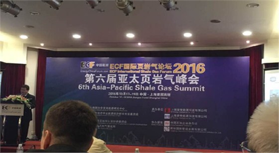 頁岩氣(qì)峰會 頁岩(yán)氣峰會