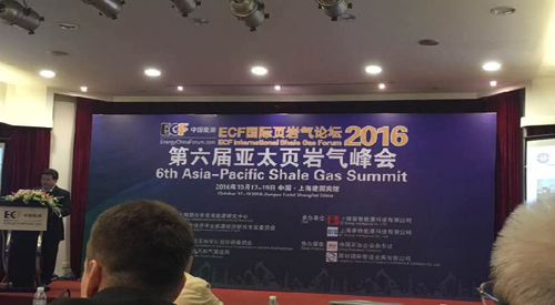 頁(yè)岩氣峰(feng)會 頁岩(yan)氣峰會(huì)