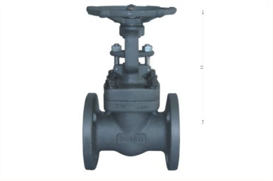 鍛(duan)鋼閘閥 鍛鋼(gang)閘閥